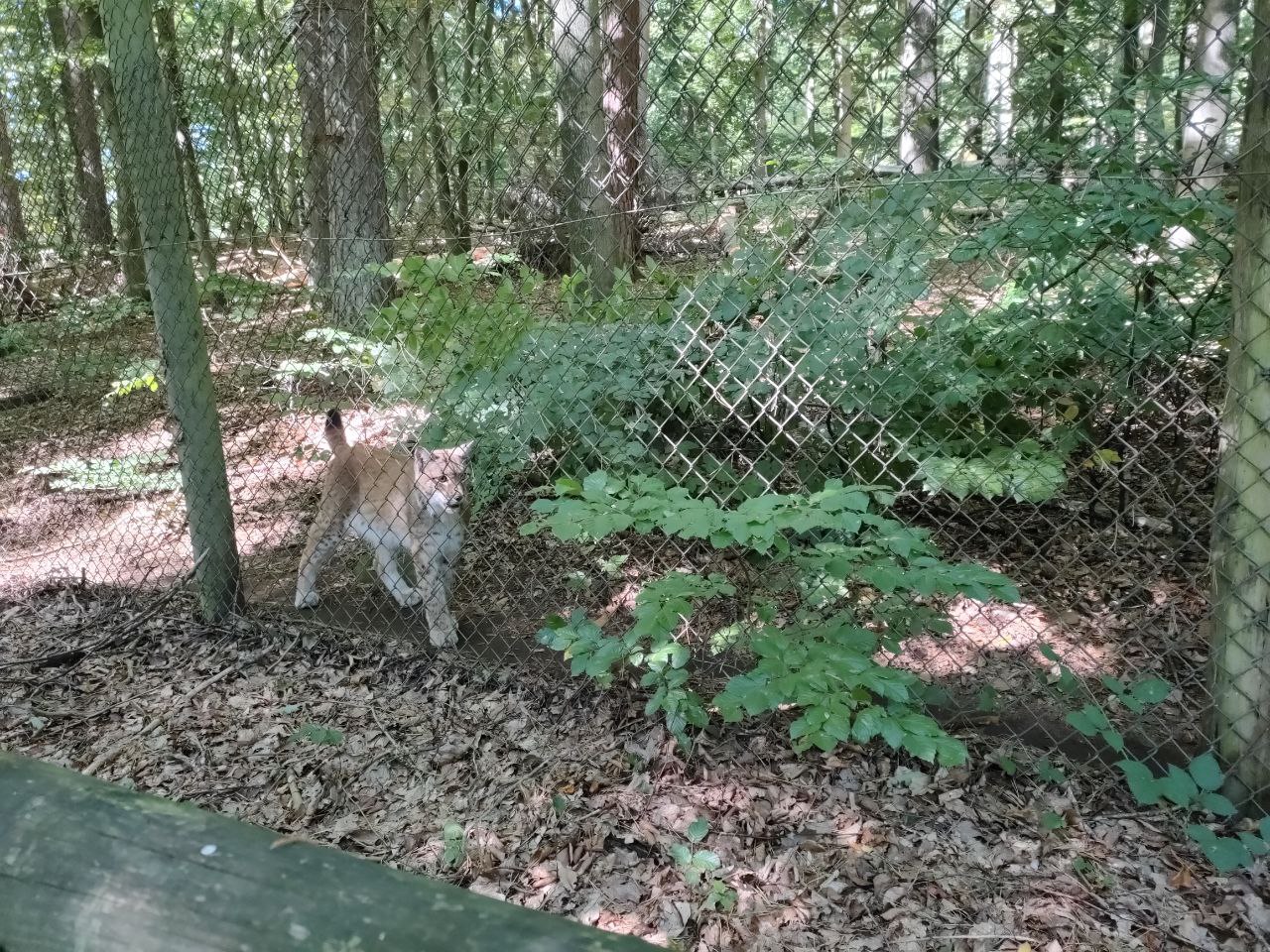 Wildpark_2c_13.jpg